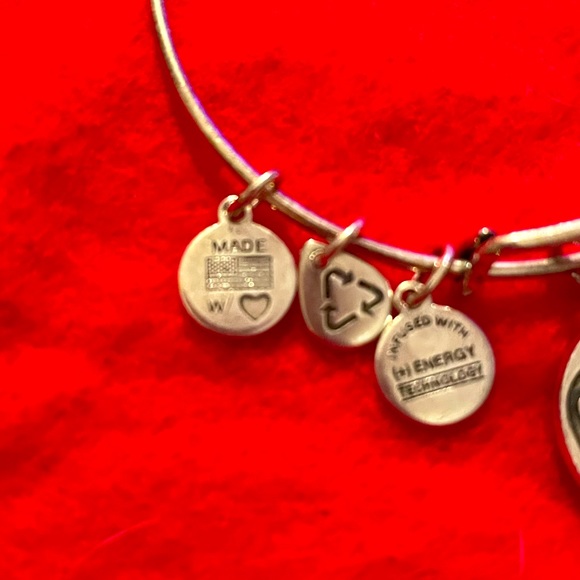 Alex and Ani Completely Blessed bangle bracelet - Picture 3 of 5